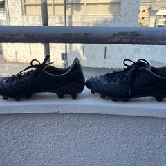 MIZUNOモナルシーダneo2PRO  25cm
の画像