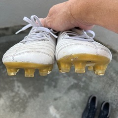 アシックスDS LightX-Fly Pro 25cmの画像