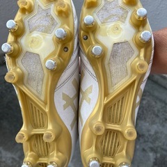 アシックスDS LightX-Fly Pro 25cmの画像