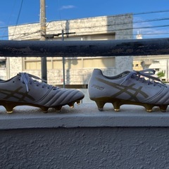 アシックスDS LightX-Fly Pro 25cmの画像