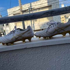 アシックスDS LightX-Fly Pro 25cmの画像