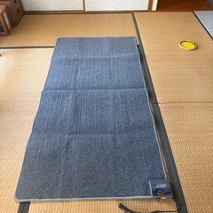 新品同様 電気カーペット