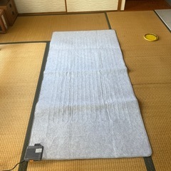 新品同様 電気カーペットの画像