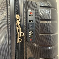【90L大型】スーツケースの画像