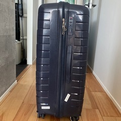 【90L大型】スーツケースの画像