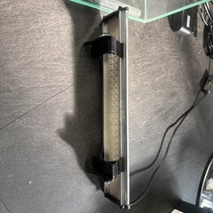 小型水槽セットの画像