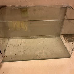 60リットル水槽
の画像