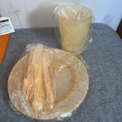 保冷バック　皿コップ等付きの画像