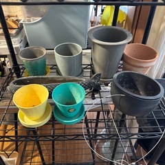 植木鉢複数セットの画像