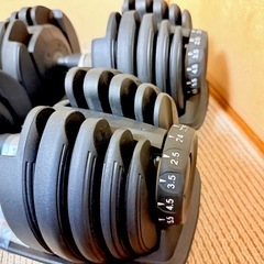 24kg 可変式ダンベル x2個セット 筋トレ トレーニングの画像
