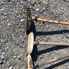 かきいたの画像