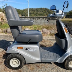 セニアカー　遊歩　パートナーの画像