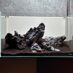 ada 水槽セットの画像