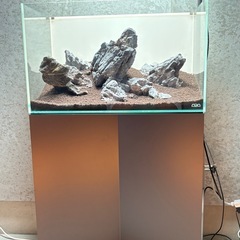 ada 水槽セットの画像