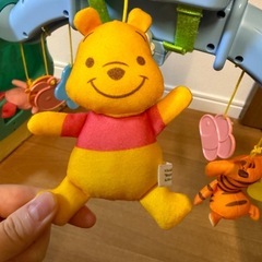 プーメリーの画像