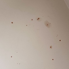 プランタースタンド  北欧の画像