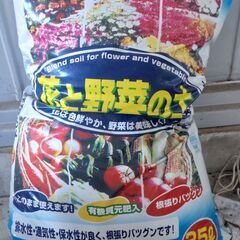 【差しあげます】家庭菜園用品の画像