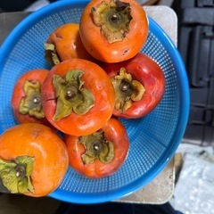 奈良の農家さんから無農薬の冬柿 がはいりました。の画像