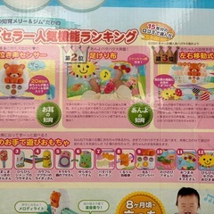 うちの赤ちゃん世界一　全身の知育メリー&ジム　の画像