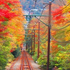 箱根旅行 美術館や箱根神社を巡る予定 日帰りか1泊2日で
