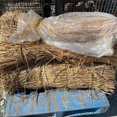 ❤️無料です❤️ 藁　❤️早い者勝ちの画像