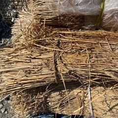 ❤️無料です❤️ 藁　❤️早い者勝ちの画像