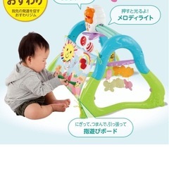  ピープル うちの赤ちゃん世界一 全身の知育 メリー&ジムの画像