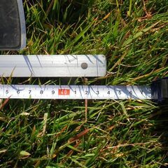 シンワ　フリーアングル　４３cmの画像