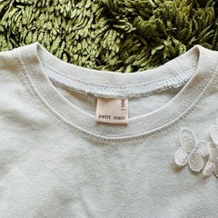 プティマイン　100の画像