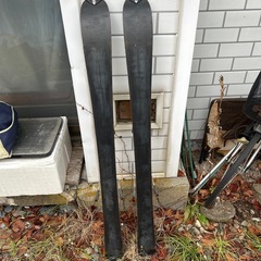 ファンスキー　ソロモンの画像