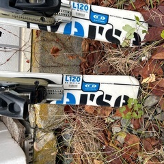 ファンスキー　ソロモンの画像