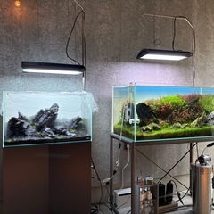 ada 水槽セットの画像