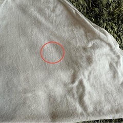 プティマイン　100の画像