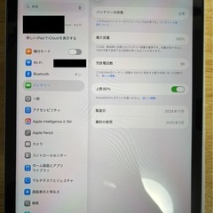 【美品】iPad air M2 11インチ 第6世代 2024年モデル ブルー Wi-Fiモデル Apple 【豪華付属品付き】の画像