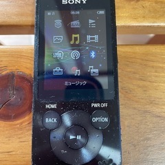 SONY WALKMAN NW-S14 デジタルオーディオプレーヤーの画像