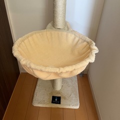 突っ張りキャットタワーの画像