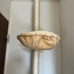 突っ張りキャットタワーの画像