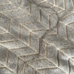 コタツ布団 美品＊正方形の画像