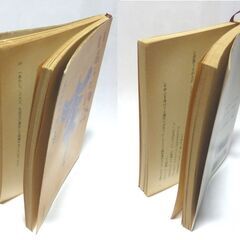 【文庫古本】氷室冴子「いもうと物語」新潮文庫　2刷・・・作者の生きた時代の北海道を舞台に泣いたり笑ったりの短編連作集・・・の画像