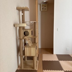 キャットタワーの画像