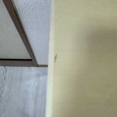 折りたたみ式テーブルの画像