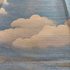 未使用品✨99×123 雲の布 メッシュ 網戸 カーテンの画像