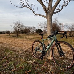 FOCUS Atls6.8の画像