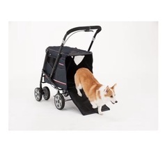 ボンビアルコン プログレデニムの画像