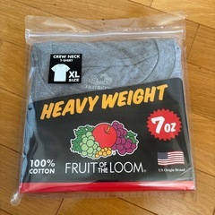 FRUIT OF THE LOOMのTシャツの画像
