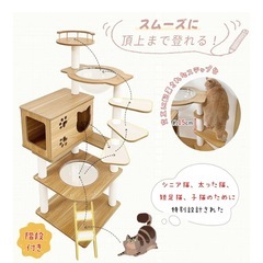 キャットタワーの画像