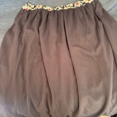 11\20までの投稿です。スカートの画像