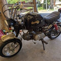 6Vモンキーの画像