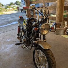 6Vモンキーの画像