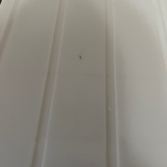 決まりました。の画像